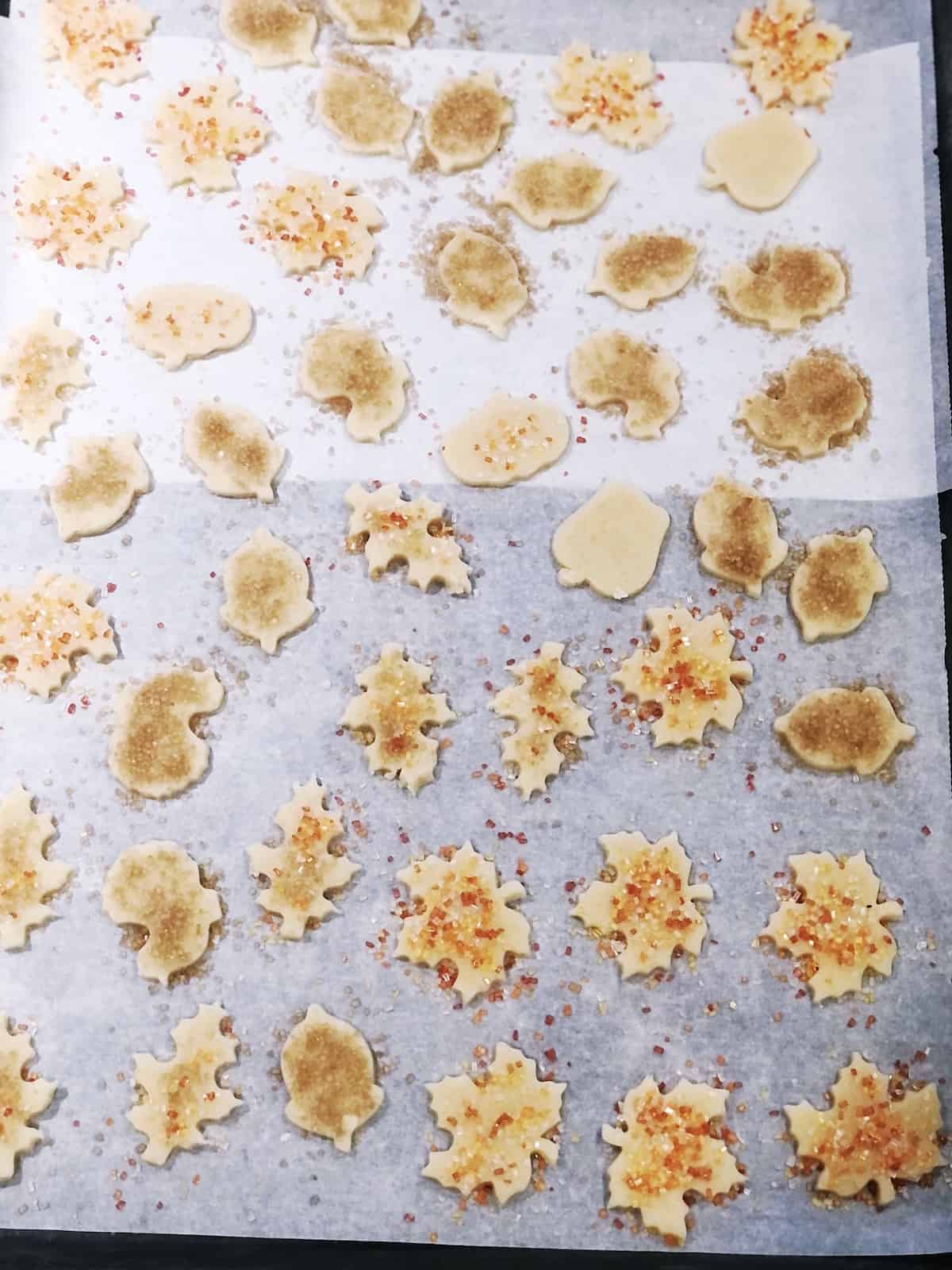 Fall cutout cookies with sprinkles