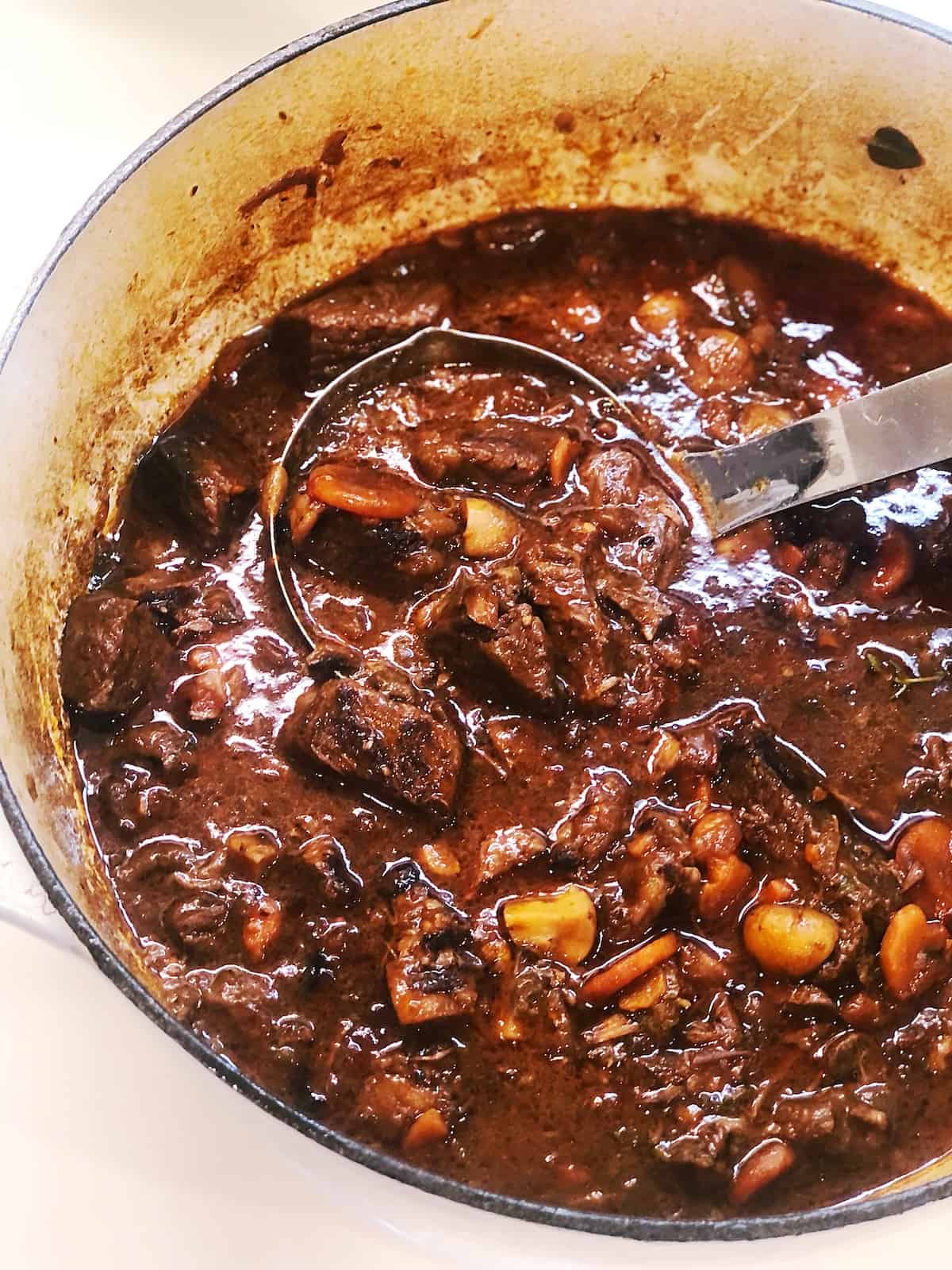provencal stew closeup