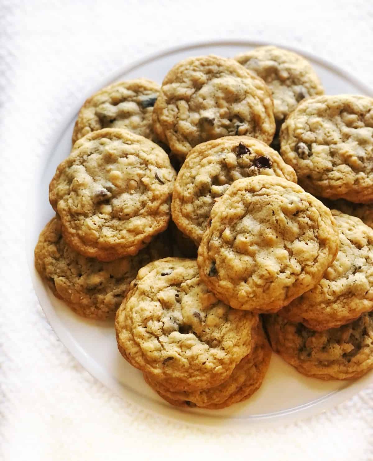 chewy chocolate chip oatmeal cookies on a white plate