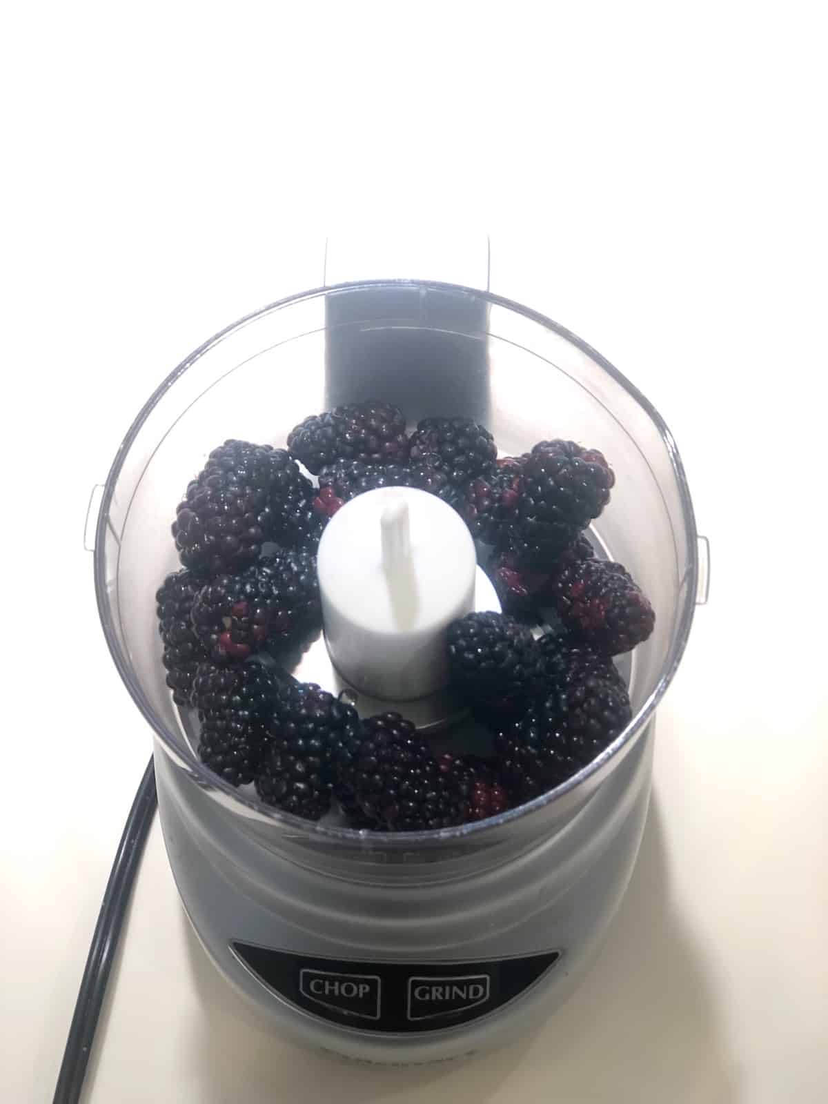 blackberries in food processor