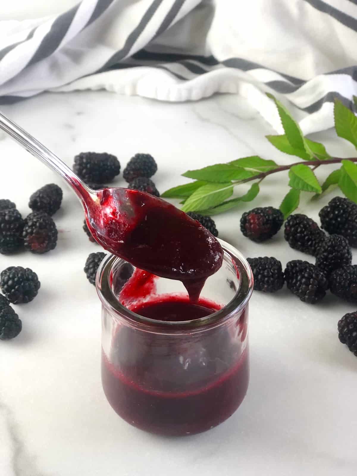 easy blackberry puree