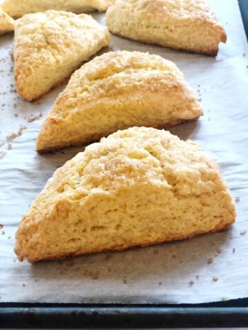 Vanilla scones on a sheet pan.